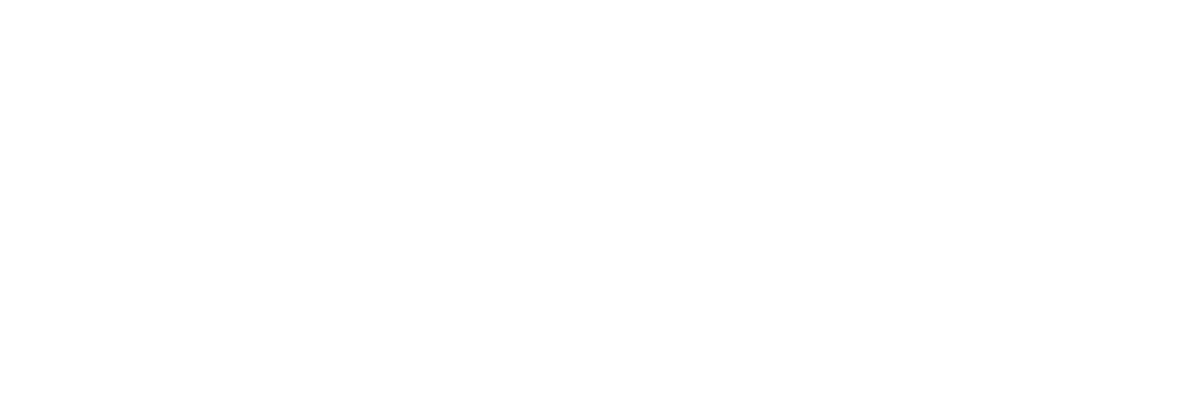 CN Gestión